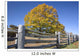 fall meadow Wall Mural