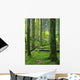 Foret Automne Wall Decal Design 2