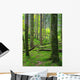 Foret Automne Wall Mural