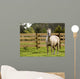 Horse Wall Mural