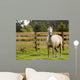 Horse Wall Mural
