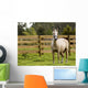 Horse Wall Mural