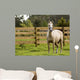 Horse Wall Mural