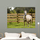 Horse Wall Mural
