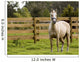 Horse Wall Mural