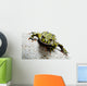 Frog on White Wall Decal