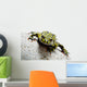 Frog on White Wall Decal