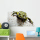 Frog on White Wall Decal