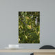 Jujube Wall Mural