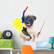 Funny Pug Dog Snorkeling Wall Decal