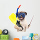 Funny Pug Dog Snorkeling Wall Decal
