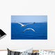 Flying Seagulls over Blue Wall Mural
