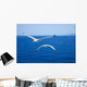 Flying Seagulls over Blue Wall Mural
