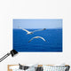 Flying Seagulls over Blue Wall Mural