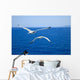 Flying Seagulls over Blue Wall Mural