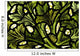 Stained Glass Pattern