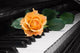 Rose Piano Key