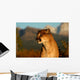 Portrait of a Cougar Wall Mural