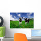 Friesian Dairy Cows in a Pasture Wall Mural