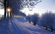 Winter Netherlands Wall Decal