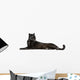 Black Leopard, 6 years old, in front of a white background Wall Decal