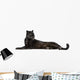 Black Leopard, 6 years old, in front of a white background Wall Decal