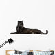 Black Leopard, 6 years old, in front of a white background Wall Decal
