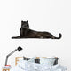 Black Leopard, 6 years old, in front of a white background Wall Decal