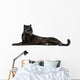 Black Leopard, 6 years old, in front of a white background Wall Decal