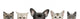 Dog Head and Cat Heads Wall Decal