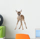 Roe Deer Fawn Standing Against White Background Wall Decal