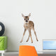 Roe Deer Fawn Standing Against White Background Wall Decal