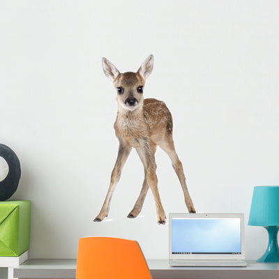 Roe Deer Fawn Wall Decal shown on a wall