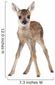 Roe Deer Fawn Standing Against White Background Wall Decal