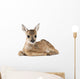 Roe Deer Fawn Wall Decal