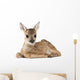 Roe Deer Fawn Wall Decal