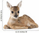 Roe Deer Fawn Wall Decal
