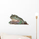 Australian Green Tree Frog, against white background Wall Decal