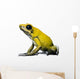 Side view of Golden Poison Frog, against white background Wall Decal