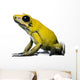 Side view of Golden Poison Frog, against white background Wall Decal