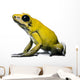Side view of Golden Poison Frog, against white background Wall Decal