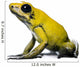 Side view of Golden Poison Frog, against white background Wall Decal