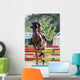 eventing horse Wall Mural