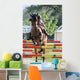 eventing horse Wall Mural