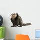 Young White-headed Marmoset Wall Decal