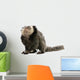 Young White-headed Marmoset Wall Decal