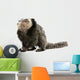 Young White-headed Marmoset Wall Decal