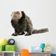 Young White-headed Marmoset Wall Decal