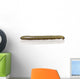 Black and Yellow Millipede Wall Decal