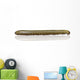 Black and Yellow Millipede Wall Decal